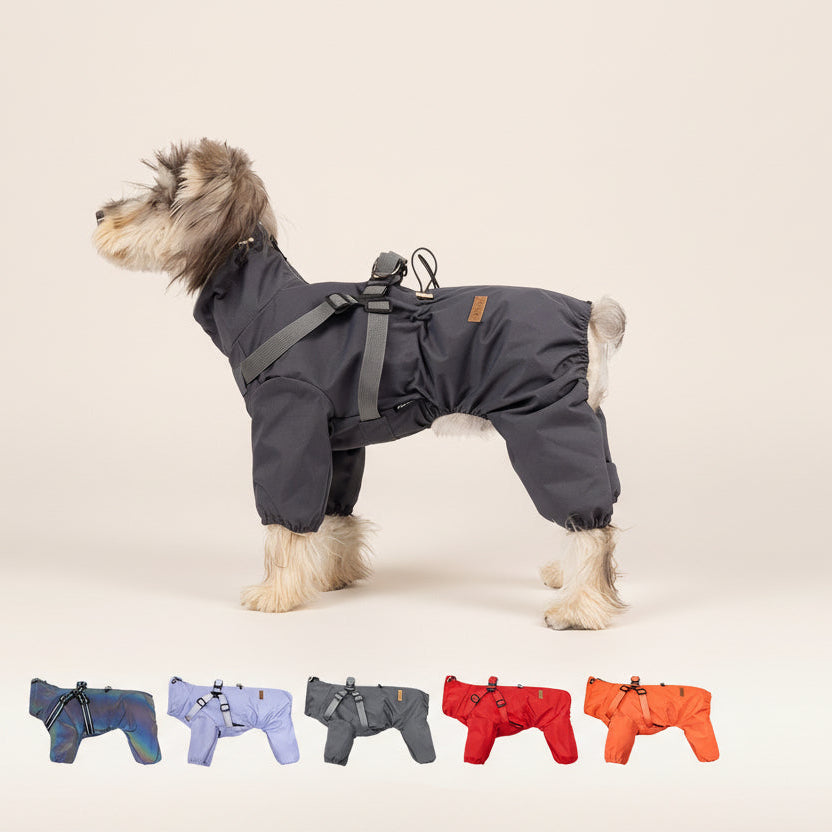 Dog Raincoat with Harness