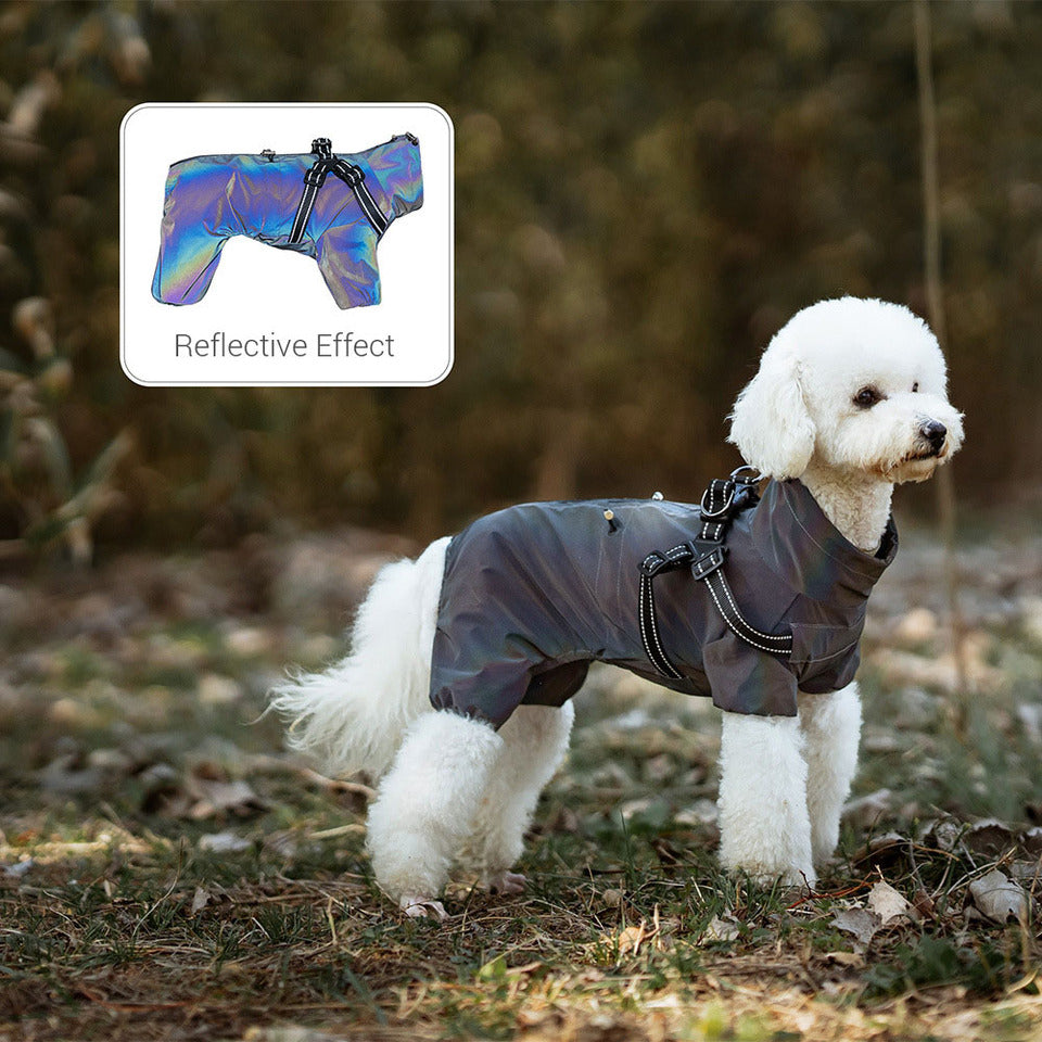 Dog Raincoat with Harness