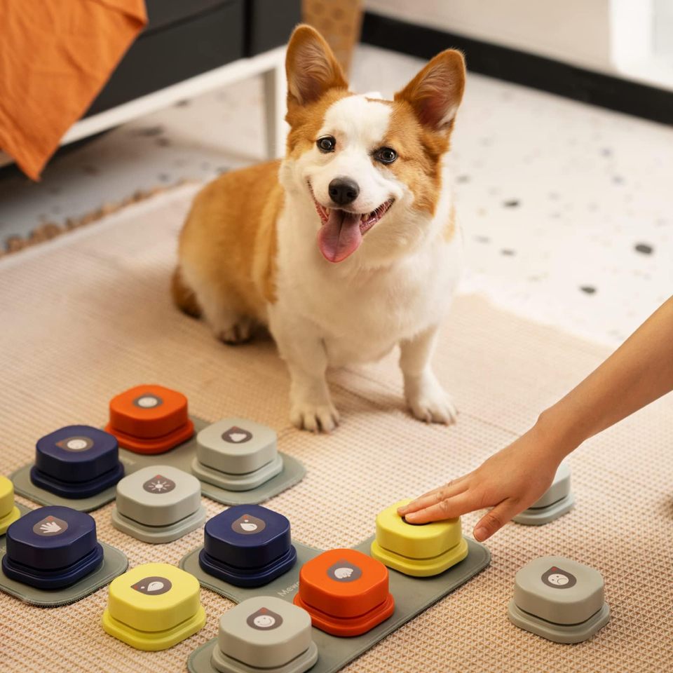 Dog Button Record Buttons with Mat