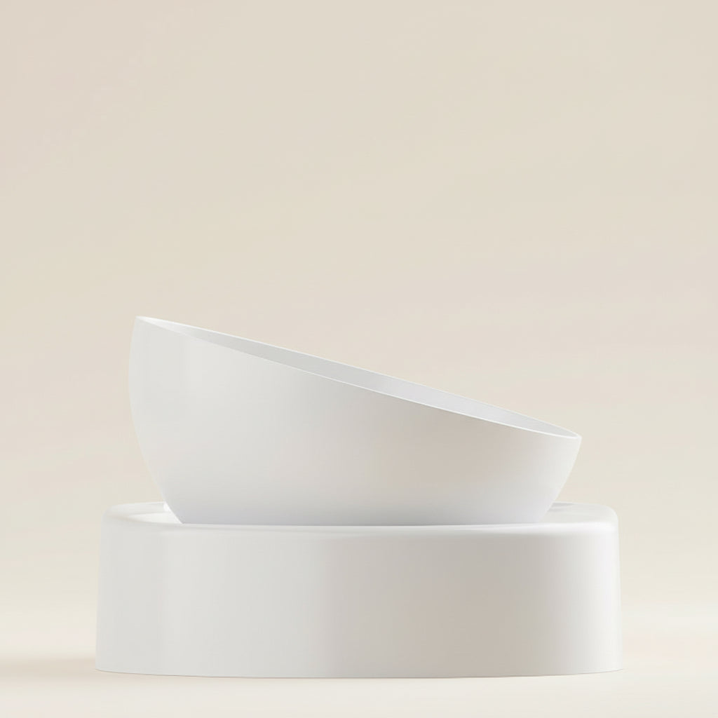 Pet Double Bowl Automatic Drinking