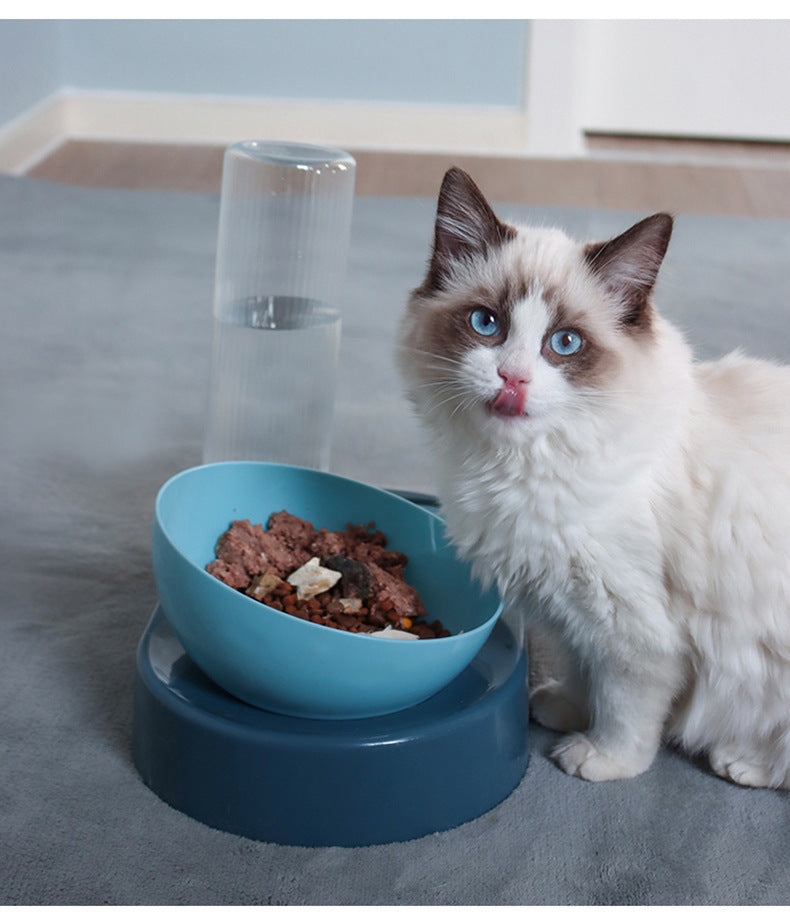 Pet Double Bowl Automatic Drinking
